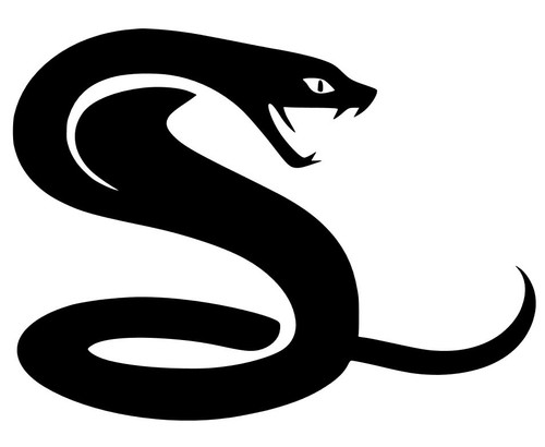 Decalcomania vinile serpente - serpente,